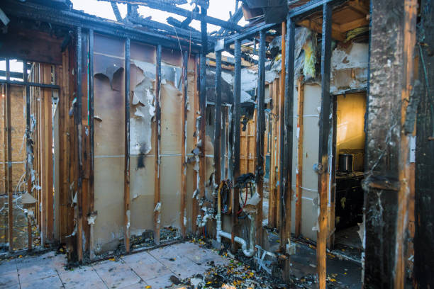 Professional Fire Damage Removal technician working in Riverdale, MD