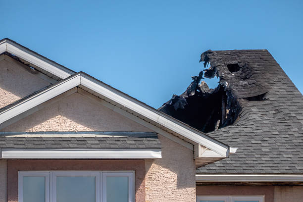 Top rated local Fire Damage Removal specialists in Riverdale, MD